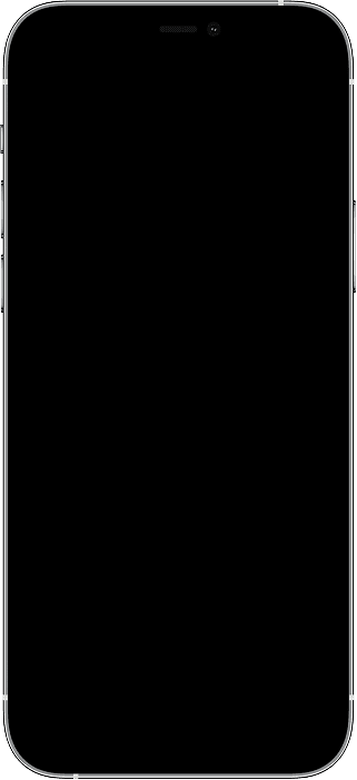 iPhone moldura